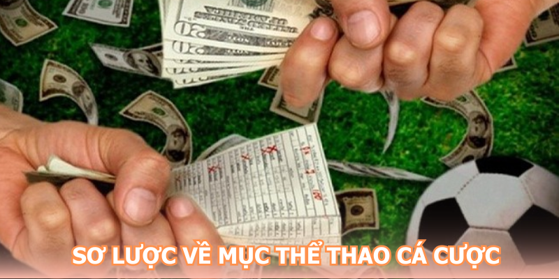 Sơ lược về mục Thể thao New88